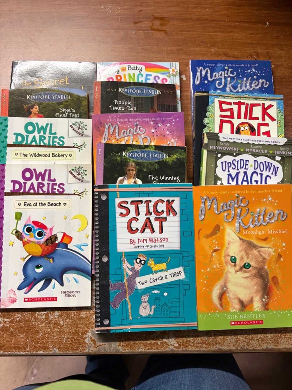 Scholastic book assortment. 13 books.-